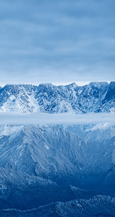 关于赏金船长下载