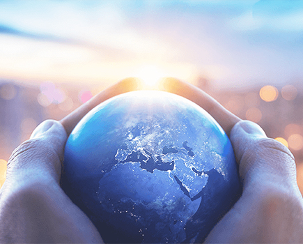 赏金船长下载资本